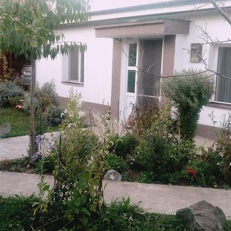 Otopeni Therme Airport Apartment 外观 照片