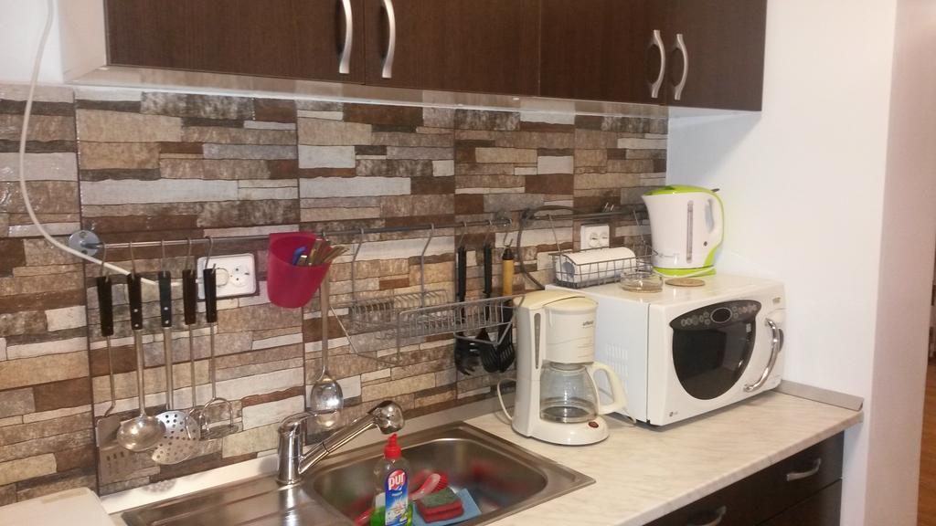 Otopeni Therme Airport Apartment 客房 照片