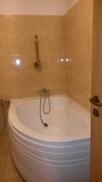 Otopeni Therme Airport Apartment 客房 照片