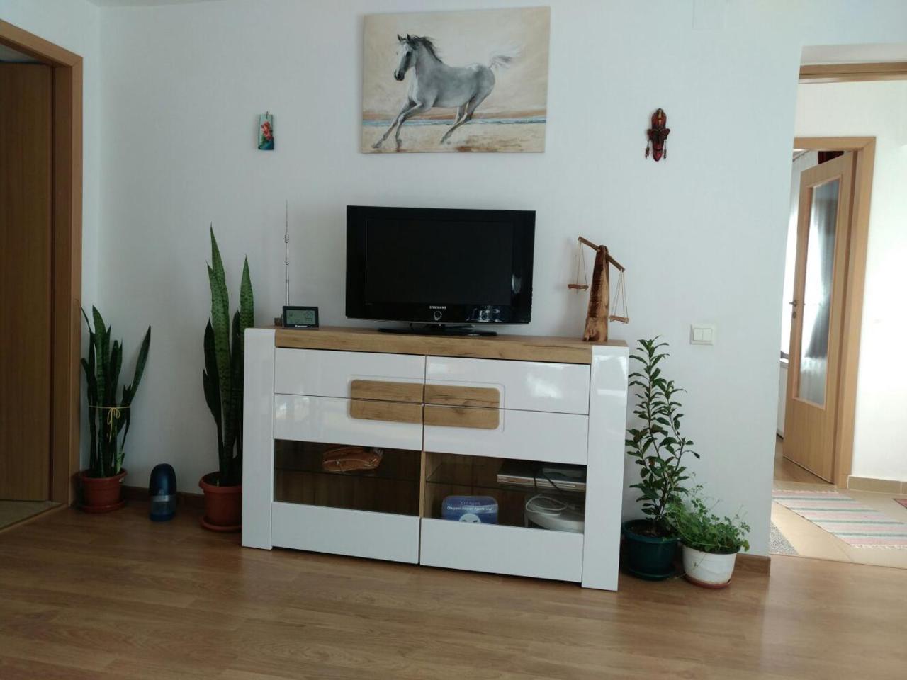 Otopeni Therme Airport Apartment 外观 照片